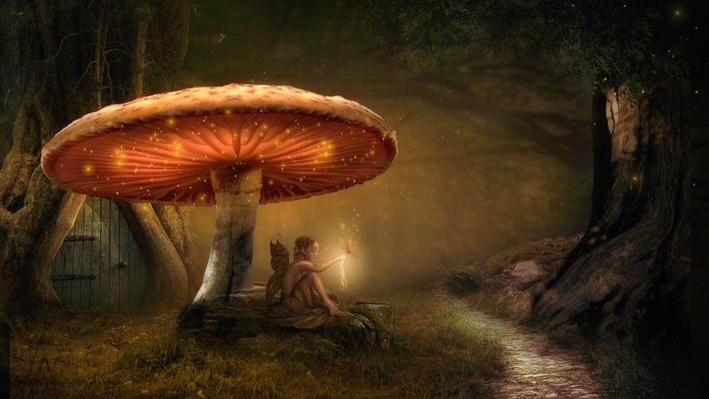 Fairy Under A Mushroom