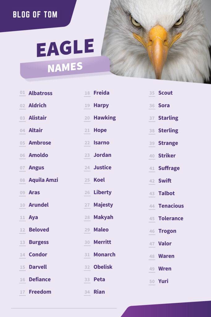 Eagle Names Infographic