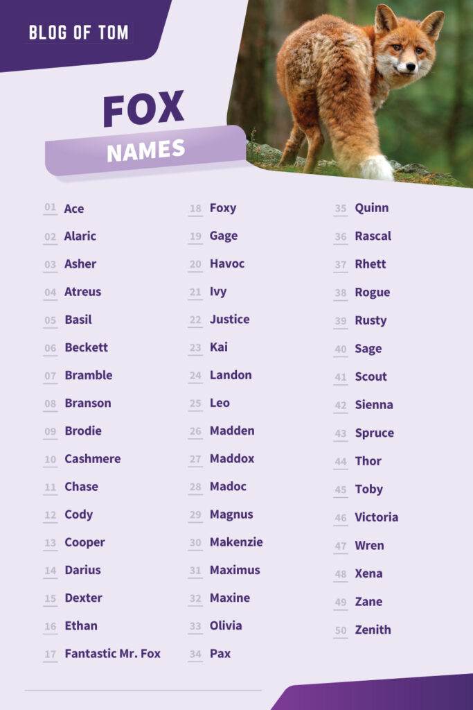 Fox Names Infographic