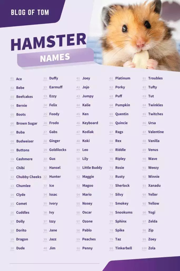 Hamster Names Infographic