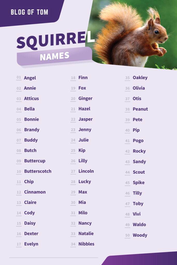 Squirrel Names Infographic