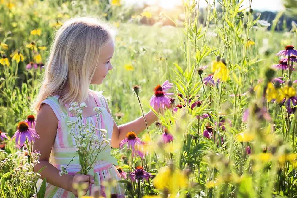 Little Girl With Flowers