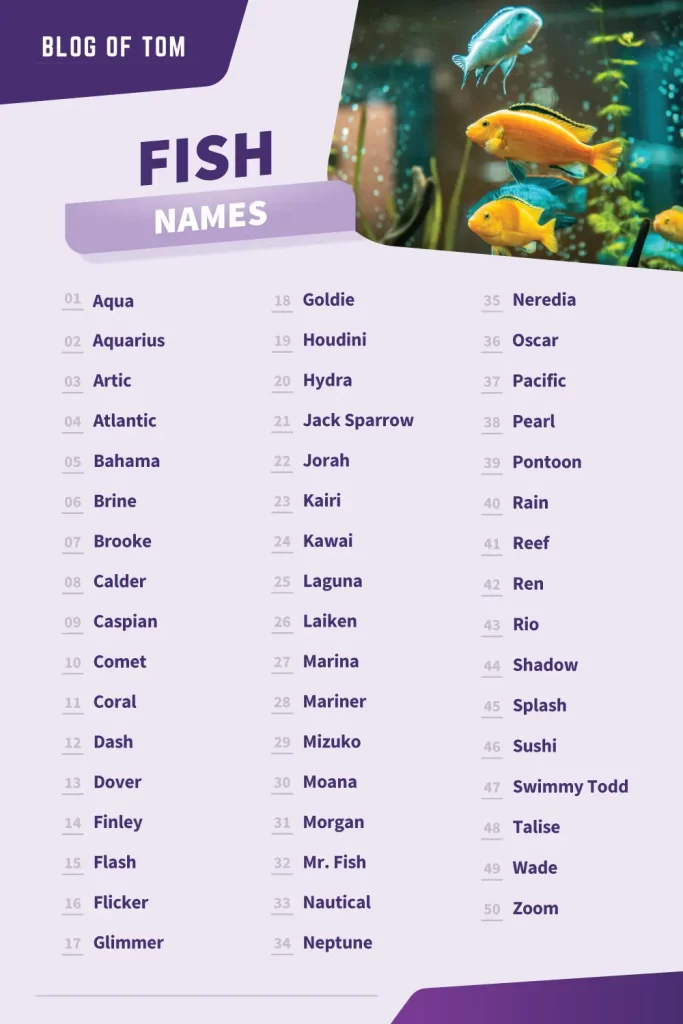 Fish Names Infographic
