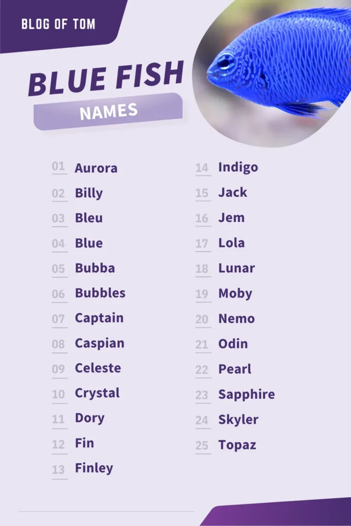Blue Fish Names Infographic