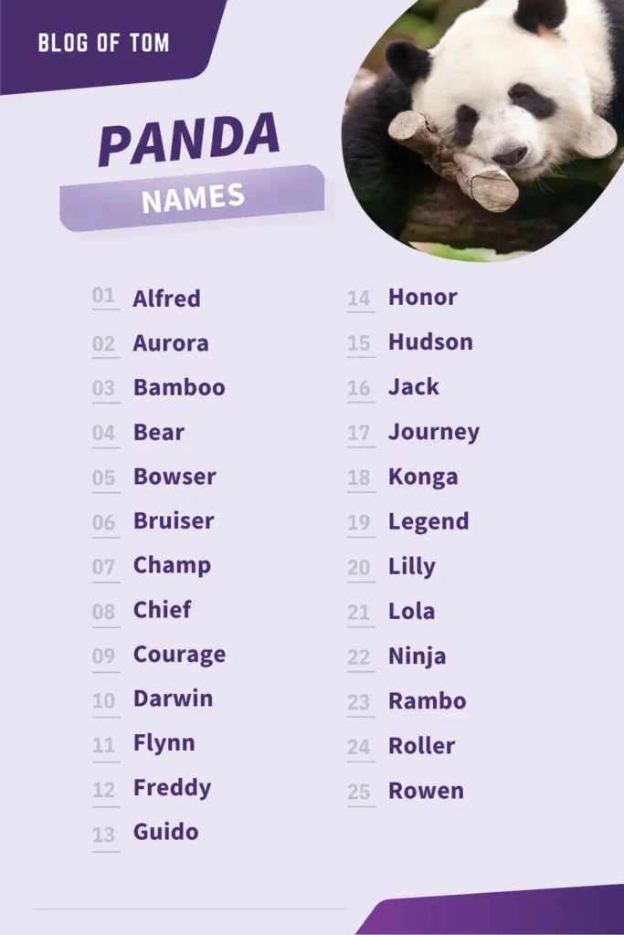 Panda Names Infographic
