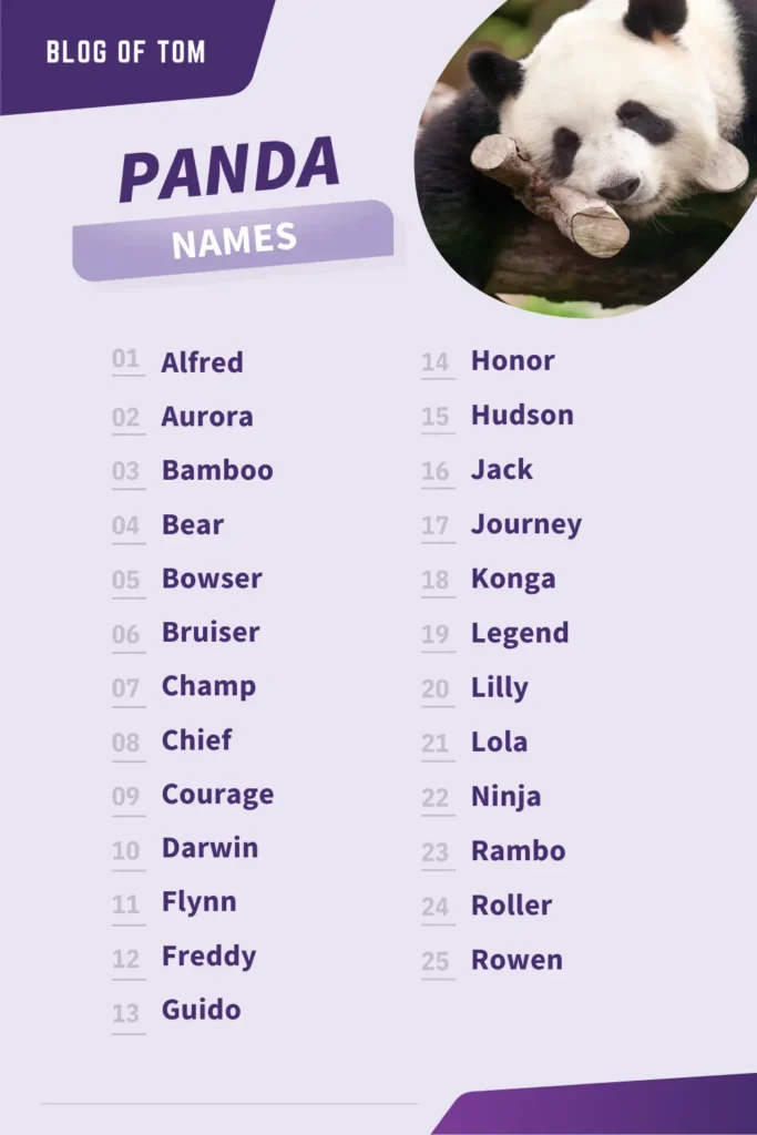 Panda Names (459+ Best, Funny, Cute, & Famous Ideas)