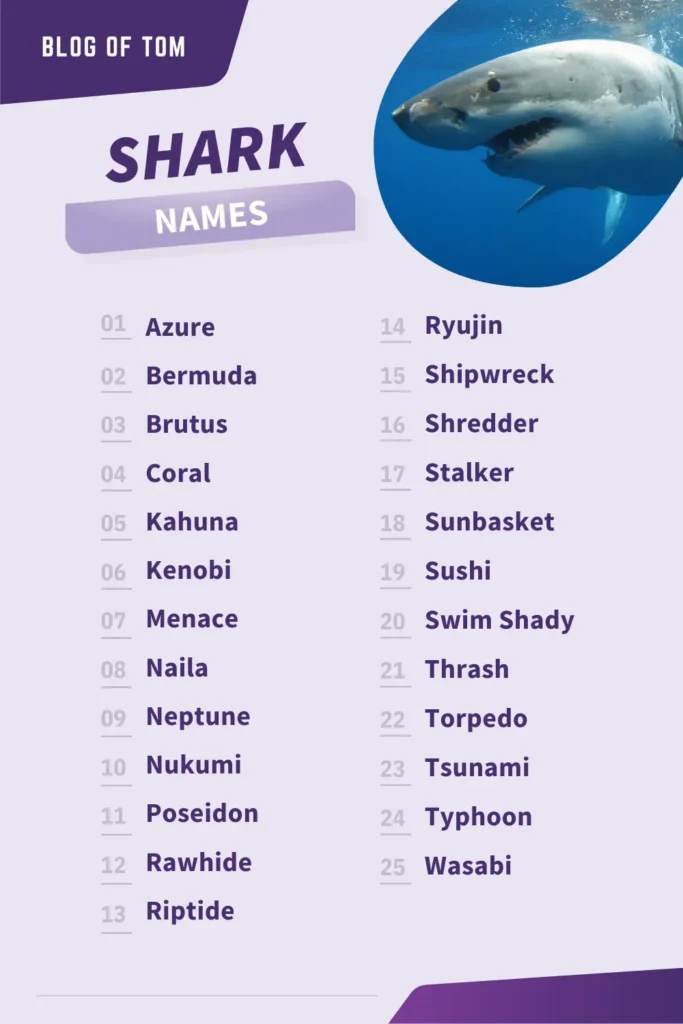 Shark Names Infographic