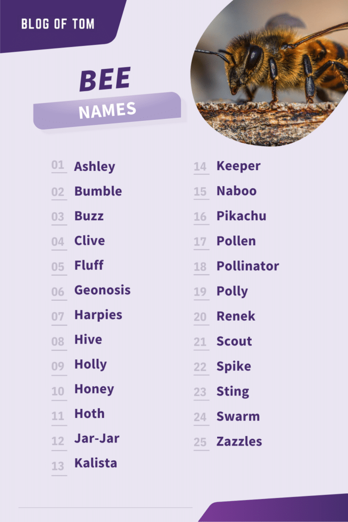 Bee Names Infographic