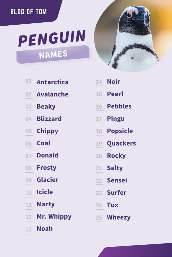 Penguin Names Infographic