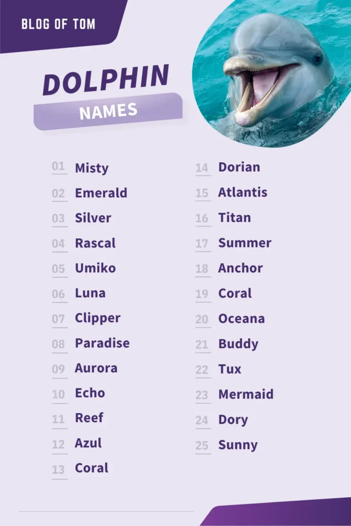 Dolphin Names Infographic