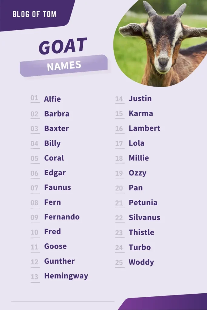 Goat Names Infographic