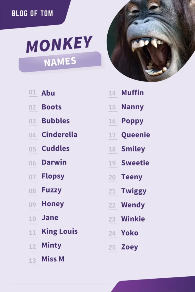 Monkey Names Infographic