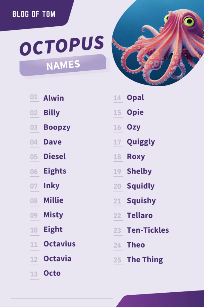 Octopus Names (279 Cute, Good & Famous Naming Ideas)