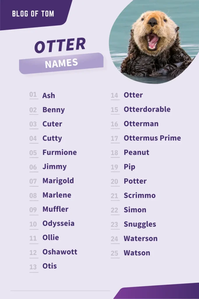 Otter Names Infographic