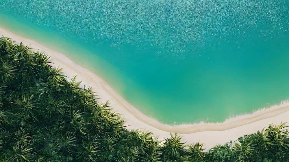 Tropical island beach palms high detail photography