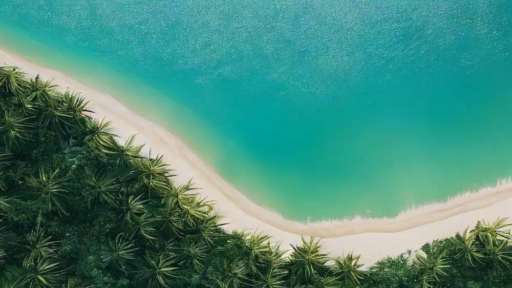 Tropical island beach palms high detail photography