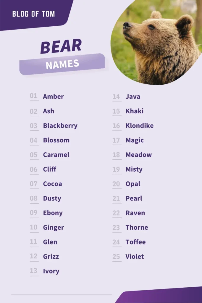 Bear Names Infographic