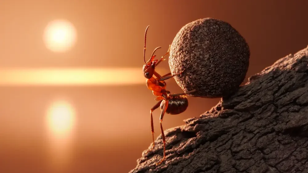 Ant Sisyphus rolls stone uphill on mountain