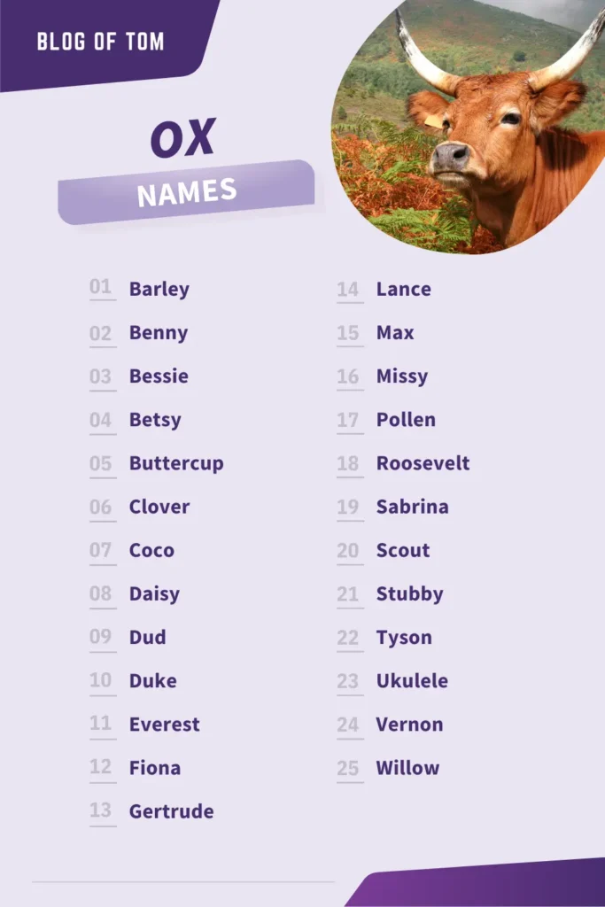 Ox Names Infographic