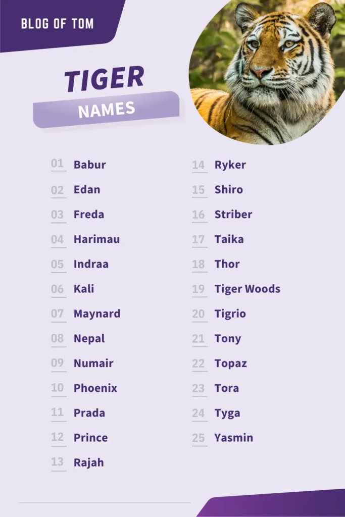 Tiger Names Infographic