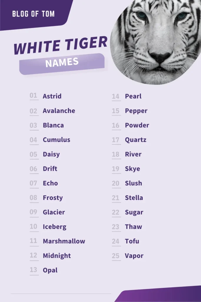 White Tiger Names Infographic