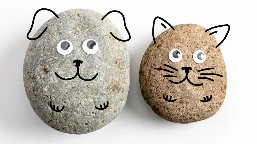 Pet rocks