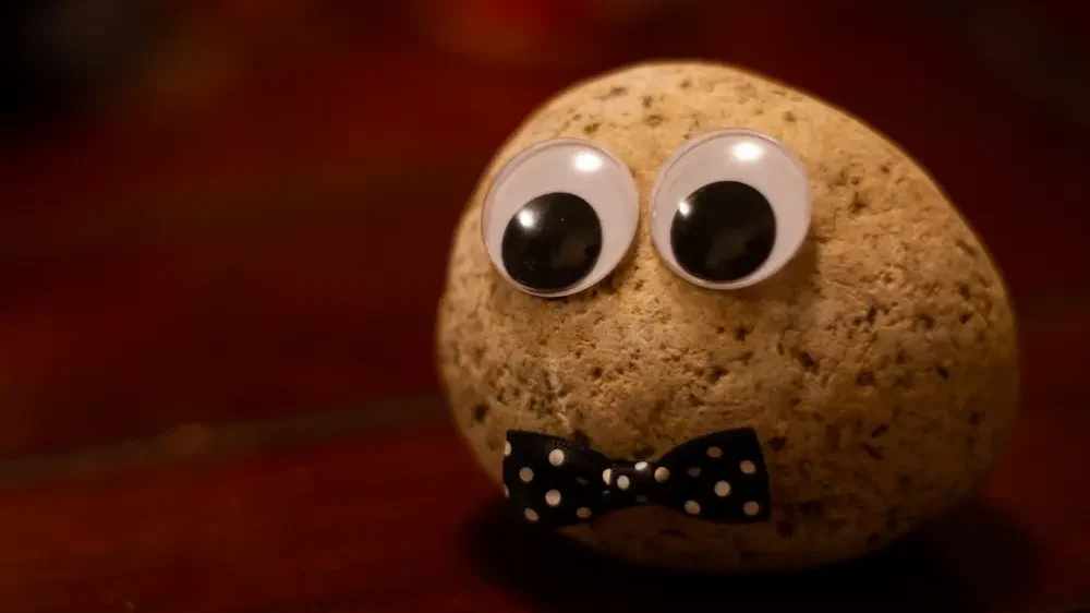 Pet rock