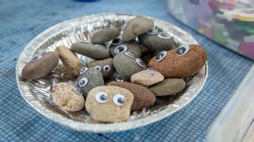 Pet rocks