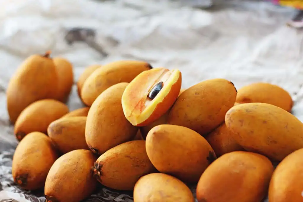 Sapodilla Fruit in the market