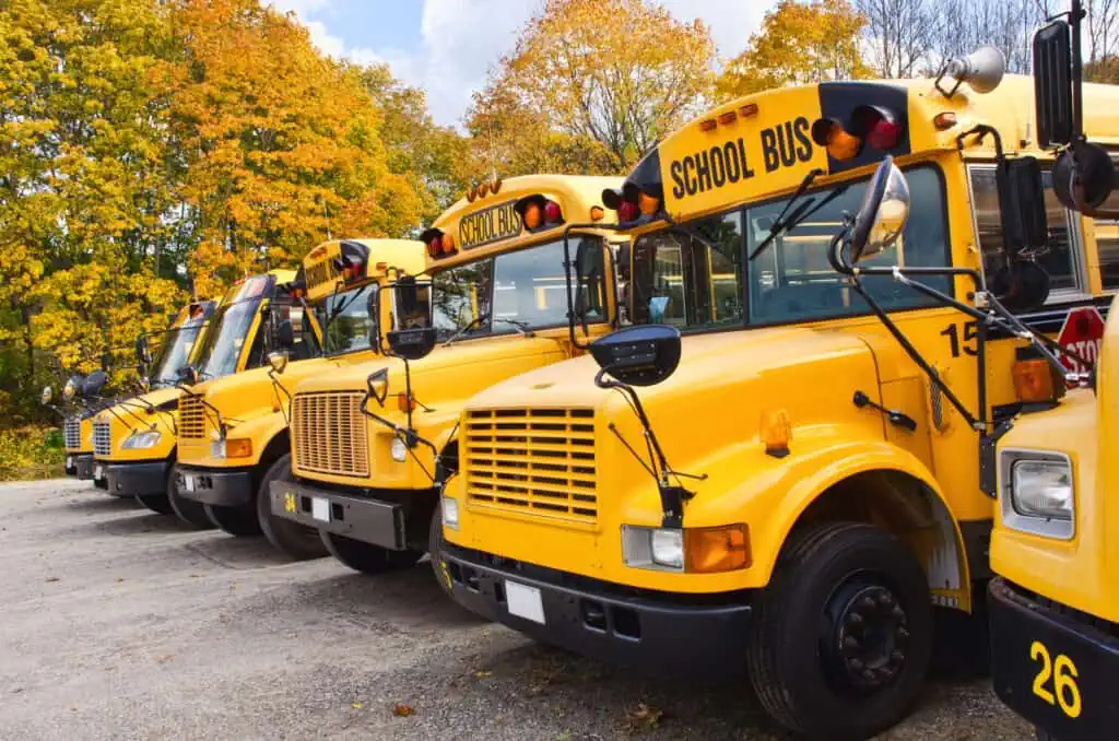Yellow school buses