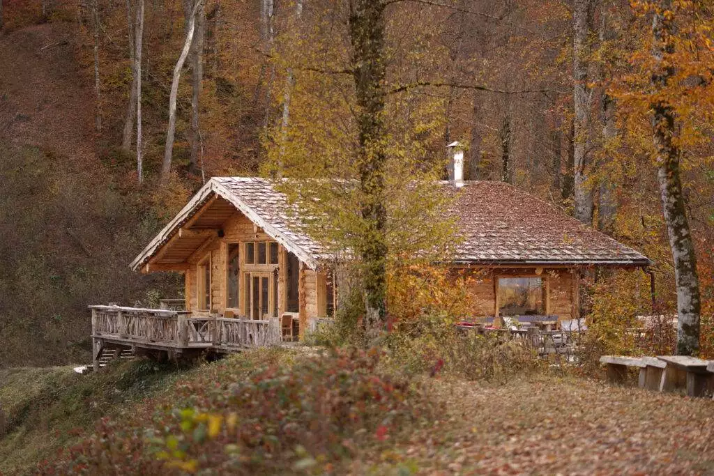 Cabin in the autumn woods