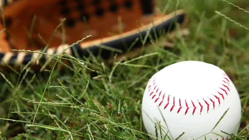 Closeup of Softball In Grass