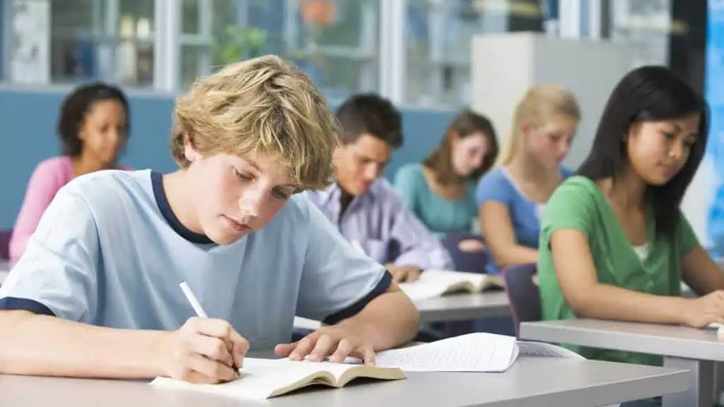 Schoolboy in high school class