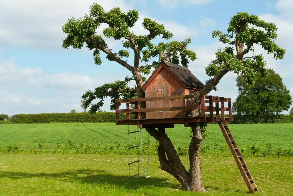 Beautiful creative tree house