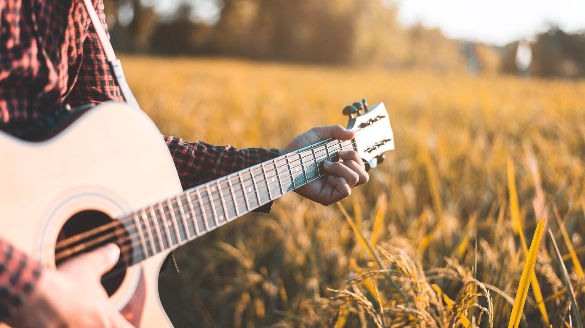 Country music, Man playing acoustic guitar in rice field, Focus on chord handle