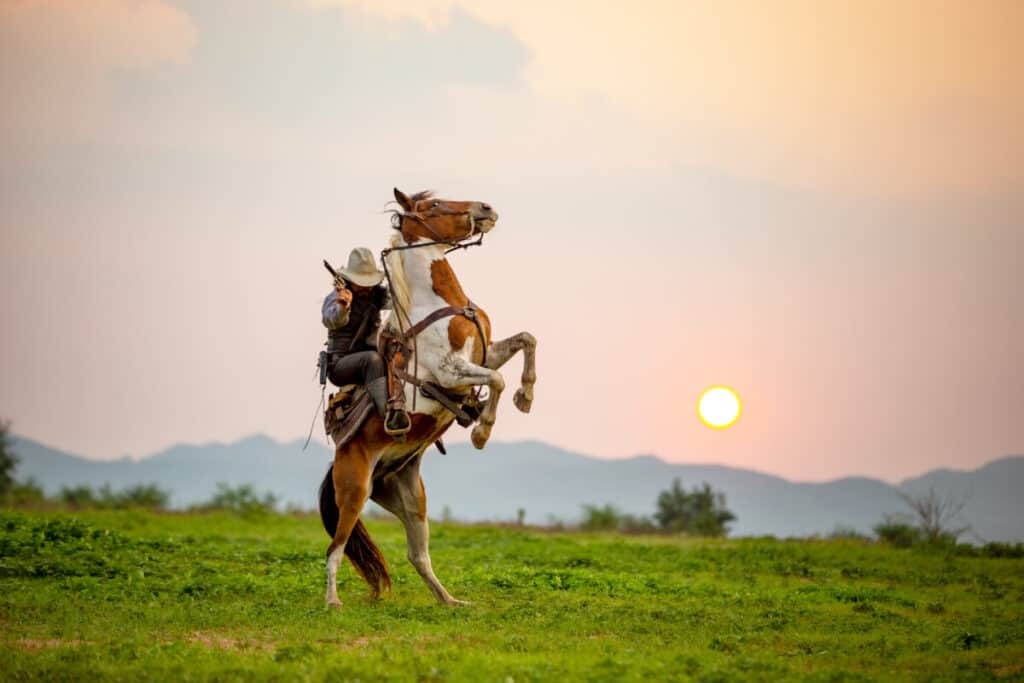 cowboy and horse at first light,mountain, river and lifestyle with natural light background
