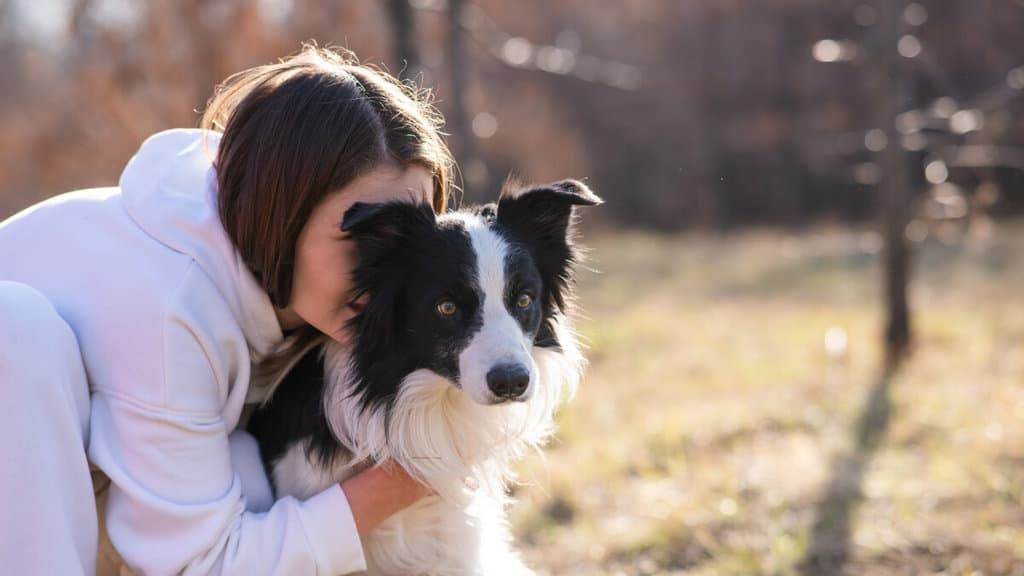 129 Black And White Dog Names BEST Choices In 2024 129-black-and-white-dog-names-best-choices-in-2024