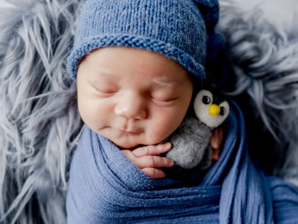 Newborn baby boy swaddled in fabric holding bird toy and sleeping in basin studio portrait. Infant child kid napping