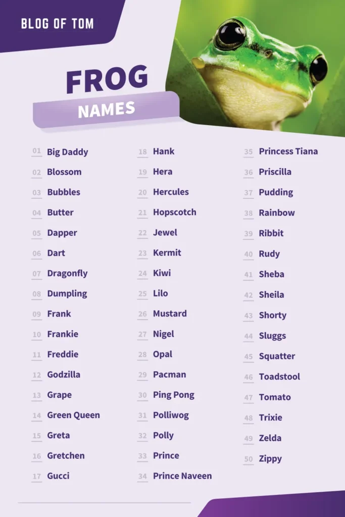 Frog Names (131 BEST Cute & Funny Naming Ideas)