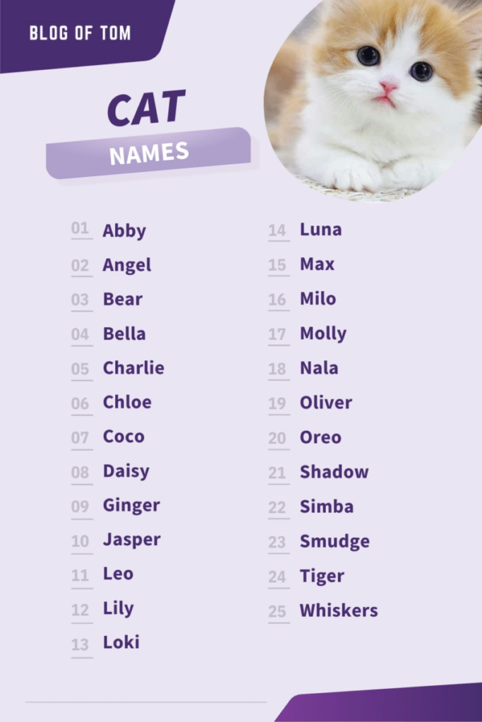 Cat Names Infographic
