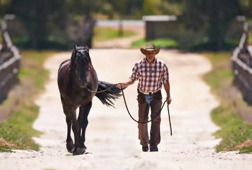 A cowboy is walking his horse down a dirt road.