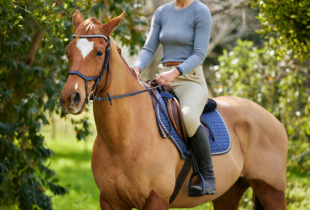 A woman riding a brown horse in a field.