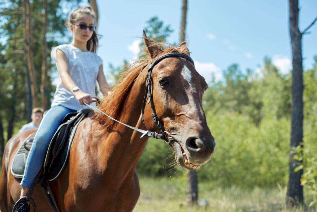 A woman riding a horse in the woods.