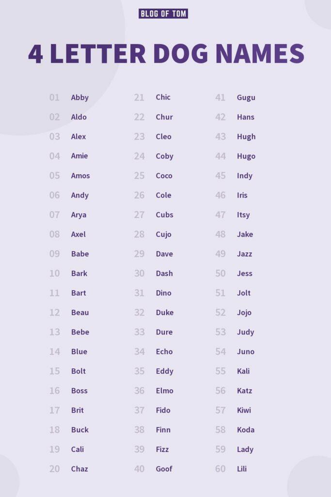 4 Letter Dog Names Infographic
