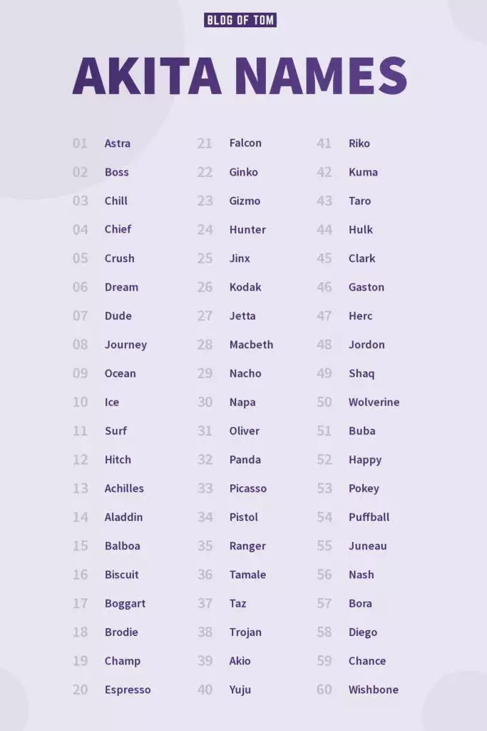 Akita Names Infographic